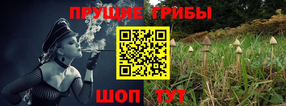 Псилоцибиновые грибы Cubensis  Вход с VPN  закладки  Псилоцибиновые грибы GOLDEN TEACHER  Нурлат 